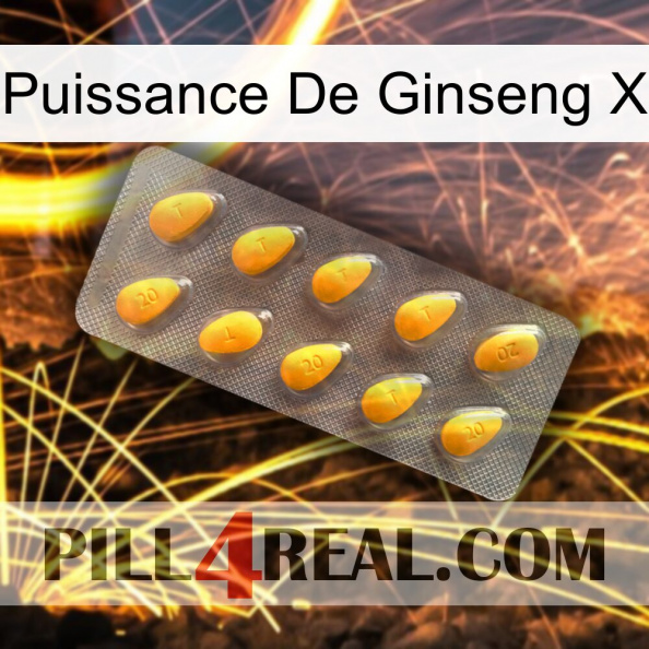 Ginseng Power X cialis1.jpg